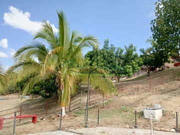 VENDEMOS HERMOSA FINCA CON ARBOLES FRUTALES Y LAGO.