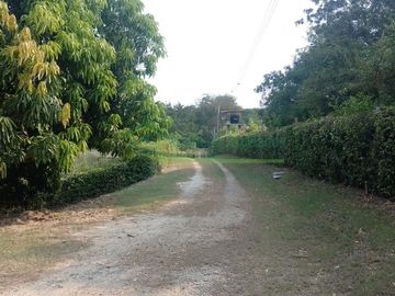VENDEMOS HERMOSA FINCA CON ARBOLES FRUTALES Y LAGO.