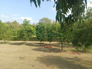 VENDEMOS HERMOSA FINCA CON ARBOLES FRUTALES Y LAGO.