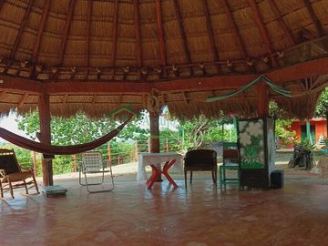 VENDEMOS HERMOSA FINCA CON ARBOLES FRUTALES Y LAGO.