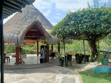 VENDEMOS HERMOSA FINCA CON ARBOLES FRUTALES Y LAGO.
