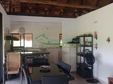 VENDEMOS HERMOSA FINCA CON ARBOLES FRUTALES Y LAGO.