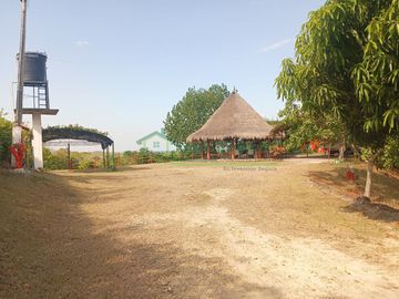 VENDEMOS HERMOSA FINCA CON ARBOLES FRUTALES Y LAGO.