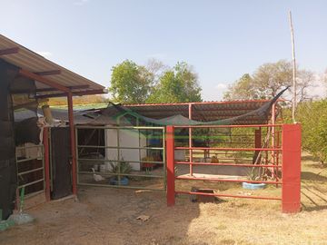 VENDEMOS HERMOSA FINCA CON ARBOLES FRUTALES Y LAGO.