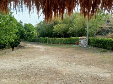 VENDEMOS HERMOSA FINCA CON ARBOLES FRUTALES Y LAGO.