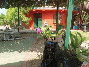 VENDEMOS HERMOSA FINCA CON ARBOLES FRUTALES Y LAGO.