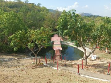 VENDEMOS HERMOSA FINCA CON ARBOLES FRUTALES Y LAGO.