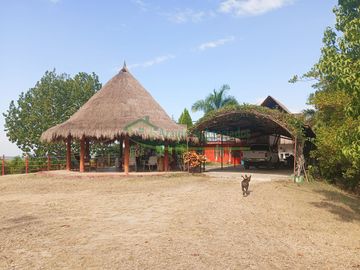 VENDEMOS HERMOSA FINCA CON ARBOLES FRUTALES Y LAGO.