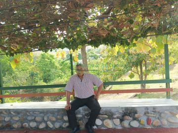 VENDEMOS HERMOSA FINCA CON ARBOLES FRUTALES Y LAGO.