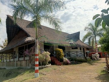 VENDEMOS HERMOSA FINCA CON ARBOLES FRUTALES Y LAGO.