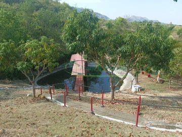 VENDEMOS HERMOSA FINCA CON ARBOLES FRUTALES Y LAGO.
