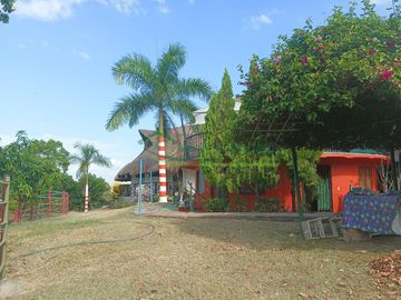 VENDEMOS HERMOSA FINCA CON ARBOLES FRUTALES Y LAGO.