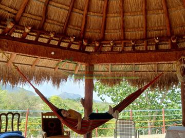 VENDEMOS HERMOSA FINCA CON ARBOLES FRUTALES Y LAGO.