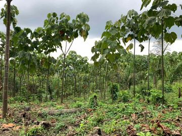 Finca de Venta en portoviejo