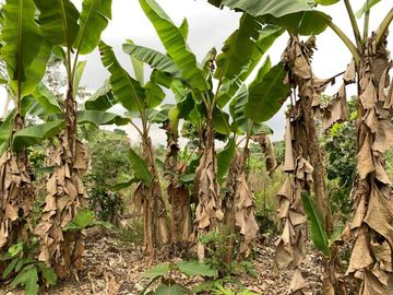 Finca de Venta en portoviejo