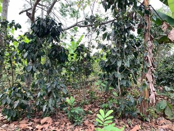 Finca de Venta en portoviejo