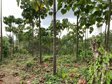 Finca de Venta en portoviejo