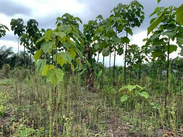 Finca de Venta en portoviejo