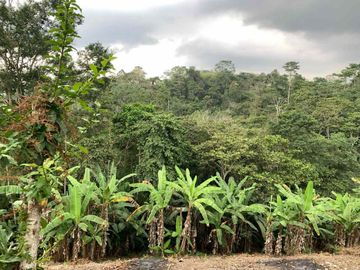 Finca de Venta en portoviejo