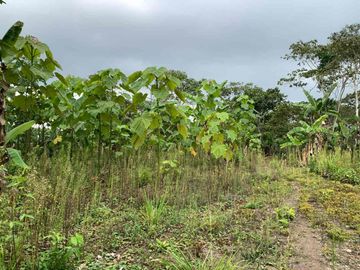Finca de Venta en portoviejo