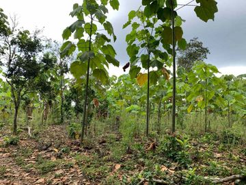 Finca de Venta en portoviejo