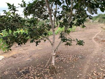 Finca de Venta en portoviejo