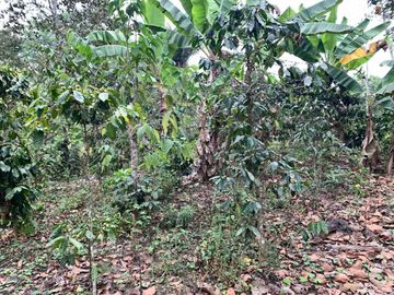 Finca de Venta en portoviejo