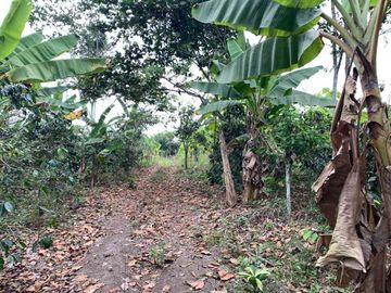 Finca de Venta en portoviejo