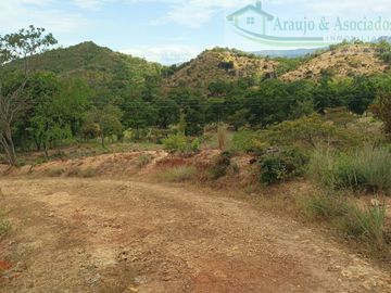 VENDEMOS FINCA GANADERA CON NACEDEROS DE AGUA, CLIMA AGRADABLE Y BUENA VECINDAD.