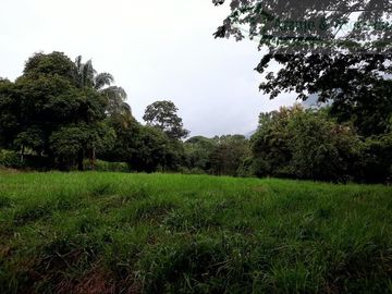 VENDEMOS FINCA GANADERA CON NACEDEROS DE AGUA, CLIMA AGRADABLE Y BUENA VECINDAD.