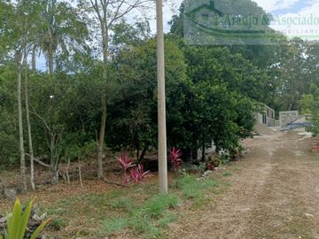 VENDEMOS FINCA GANADERA CON NACEDEROS DE AGUA, CLIMA AGRADABLE Y BUENA VECINDAD.