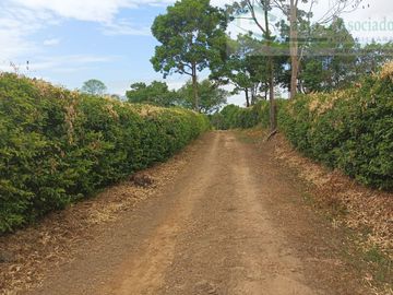 VENDEMOS FINCA GANADERA CON NACEDEROS DE AGUA, CLIMA AGRADABLE Y BUENA VECINDAD.
