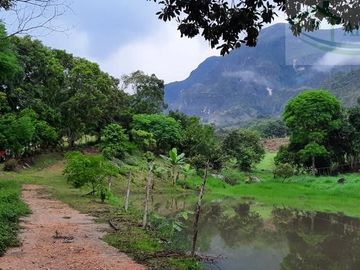 VENDEMOS FINCA GANADERA CON NACEDEROS DE AGUA, CLIMA AGRADABLE Y BUENA VECINDAD.