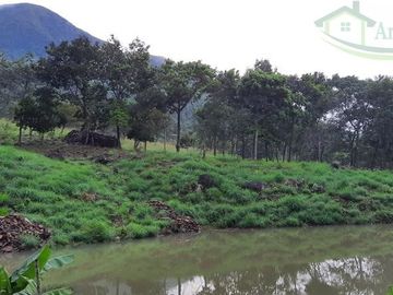 VENDEMOS FINCA GANADERA CON NACEDEROS DE AGUA, CLIMA AGRADABLE Y BUENA VECINDAD.