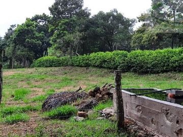 VENDEMOS FINCA GANADERA CON NACEDEROS DE AGUA, CLIMA AGRADABLE Y BUENA VECINDAD.