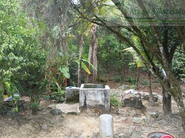 VENDEMOS FINCA GANADERA CON NACEDEROS DE AGUA, CLIMA AGRADABLE Y BUENA VECINDAD.