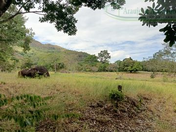 VENDEMOS FINCA GANADERA CON NACEDEROS DE AGUA, CLIMA AGRADABLE Y BUENA VECINDAD.