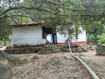 VENDEMOS FINCA GANADERA CON NACEDEROS DE AGUA, CLIMA AGRADABLE Y BUENA VECINDAD.