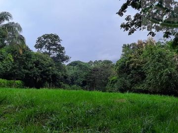 VENDEMOS FINCA GANADERA CON NACEDEROS DE AGUA, CLIMA AGRADABLE Y BUENA VECINDAD.
