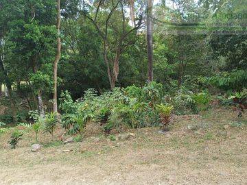 VENDEMOS FINCA GANADERA CON NACEDEROS DE AGUA, CLIMA AGRADABLE Y BUENA VECINDAD.