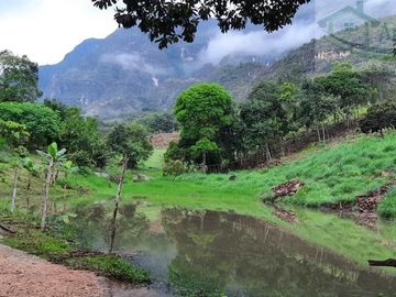 VENDEMOS FINCA GANADERA CON NACEDEROS DE AGUA, CLIMA AGRADABLE Y BUENA VECINDAD.