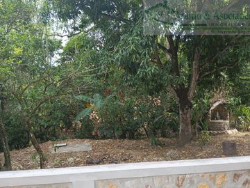 VENDEMOS FINCA GANADERA CON NACEDEROS DE AGUA, CLIMA AGRADABLE Y BUENA VECINDAD.