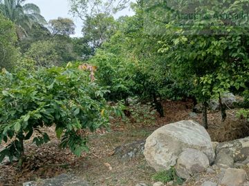 VENDEMOS FINCA GANADERA CON NACEDEROS DE AGUA, CLIMA AGRADABLE Y BUENA VECINDAD.