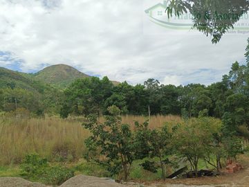 VENDEMOS FINCA GANADERA CON NACEDEROS DE AGUA, CLIMA AGRADABLE Y BUENA VECINDAD.