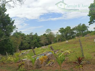 VENDEMOS FINCA GANADERA CON NACEDEROS DE AGUA, CLIMA AGRADABLE Y BUENA VECINDAD.