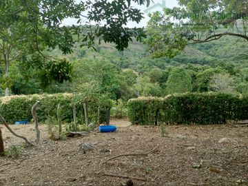 VENDEMOS FINCA GANADERA CON NACEDEROS DE AGUA, CLIMA AGRADABLE Y BUENA VECINDAD.
