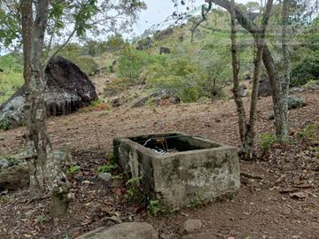 VENDEMOS FINCA GANADERA CON NACEDEROS DE AGUA, CLIMA AGRADABLE Y BUENA VECINDAD.