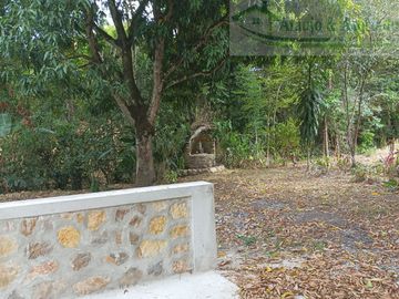 VENDEMOS FINCA GANADERA CON NACEDEROS DE AGUA, CLIMA AGRADABLE Y BUENA VECINDAD.