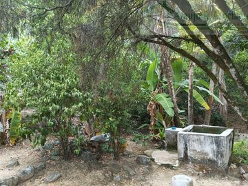 VENDEMOS FINCA GANADERA CON NACEDEROS DE AGUA, CLIMA AGRADABLE Y BUENA VECINDAD.