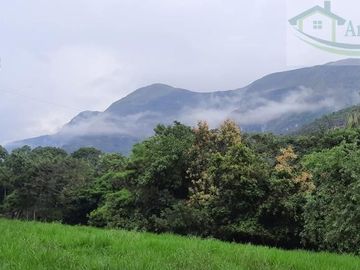 VENDEMOS FINCA GANADERA CON NACEDEROS DE AGUA, CLIMA AGRADABLE Y BUENA VECINDAD.